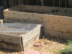 Compost Bins