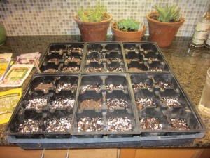 Seedling prep